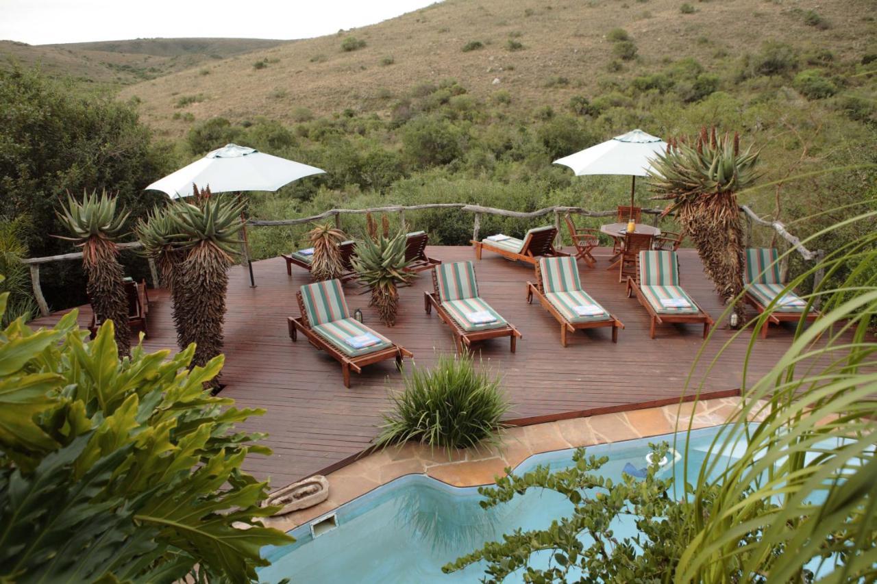 Lalibela Game Reserve Lentaba Safari * Paterson