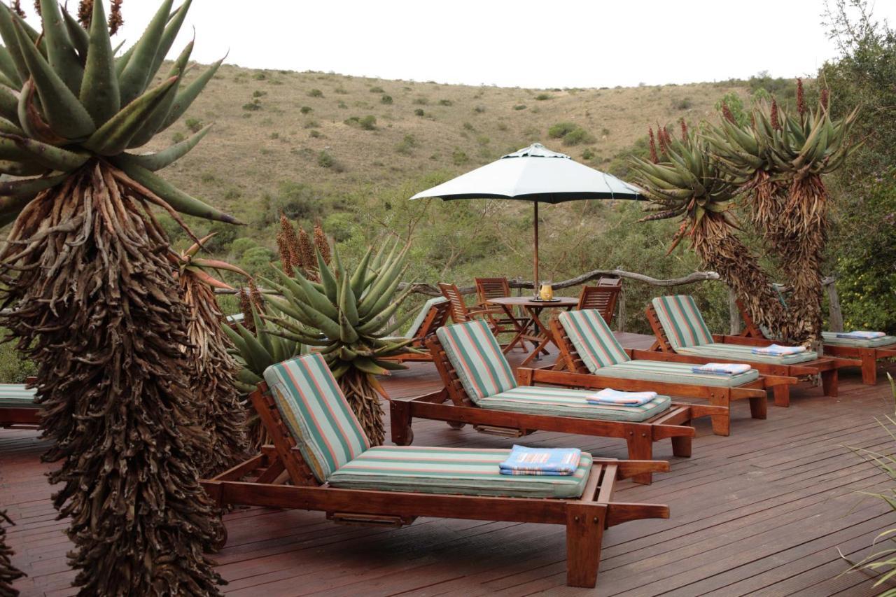 Lodge Lalibela Game Reserve Lentaba Safari Paterson